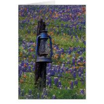 N.A., USA, Texas, Llano, Blue Lantern and Card