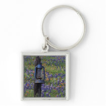 N.A., USA, Texas, Llano, Blue Lantern and Keychain