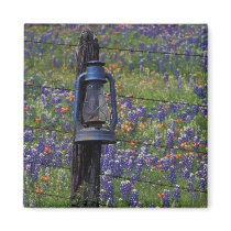 N.A., USA, Texas, Llano, Blue Lantern and Magnet