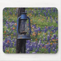 N.A., USA, Texas, Llano, Blue Lantern and Mouse Pad