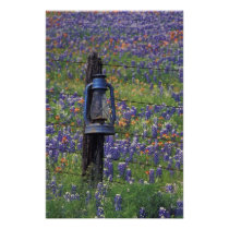 N.A., USA, Texas, Llano, Blue Lantern and