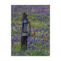 N.A., USA, Texas, Llano, Blue Lantern and Post Card