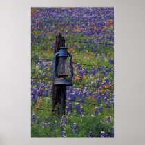 N.A., USA, Texas, Llano, Blue Lantern and