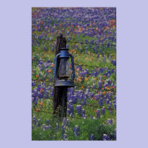 N.A., USA, Texas, Llano, Blue Lantern and posters