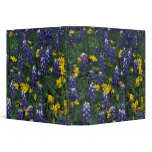 N.A, USA, Texas, Marble Falls, Blue Bonnets Binder