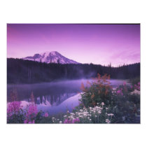 N.A., USA, Washington, Mt. Rainier National