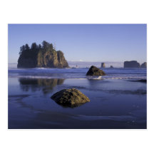 N.A., USA, Washington, Olympic National Park, 3 Postcards