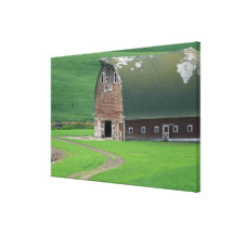 N.A., USA, Washington, Whitman County. Old Stretched Canvas Prints
