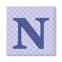 N magnets