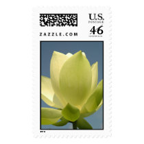 N. Perry's Giant Sunburst postage