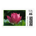N. President postage by buumontemple N. President postage