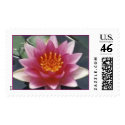 N. Splendia postage