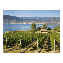 NA; Canada; British Columbia; Okanagan Valley; Post Cards
