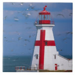 NA, Canada, New Brunswick, Campobello Island. 8 Tile