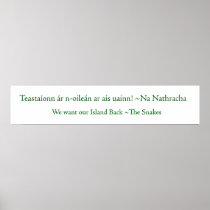 Na Nathracha - banner Posters