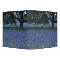 NA, Texas, Devine, Oak and blue bonnets Binder