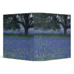 NA, Texas, Devine, Oak and blue bonnets Binder