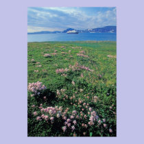 NA, USA, Alaska, Aleutian Island, Scenic with posters