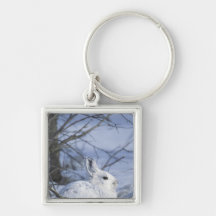 NA, USA, Alaska. Arctic National Wildlife Keychains