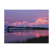 NA, USA, Alaska, Denali NP, Mt. McKinley, Postcard