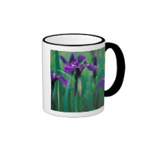NA, USA, Alaska, Knight Island, Wild iris Mug