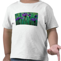 NA, USA, Alaska, Knight Island, Wild iris Shirt