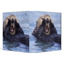 NA, USA, Alaska. Sea otters are the largest 3 Ring Binders