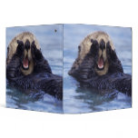 NA, USA, Alaska. Sea otters are the largest 3 Ring Binders