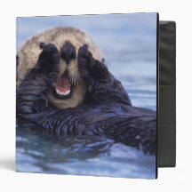 NA, USA, Alaska. Sea otters are the largest 3 Ring Binders
