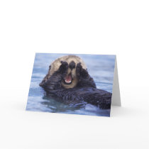 NA, USA, Alaska. Sea otters are the largest Cards