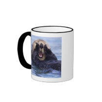 NA, USA, Alaska. Sea otters are the largest Mugs