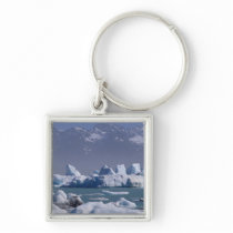 NA, USA, Alaska, St. Elias Range, Alsek River, Keychains