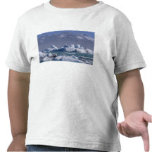 NA, USA, Alaska, St. Elias Range, Alsek River, Tee Shirts