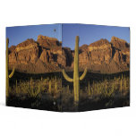 NA, USA, Arizona. Organ Pipe Cactus National 2 Vinyl Binders