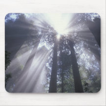 NA, USA, California. Del Norte Coast State 2 Mousepads