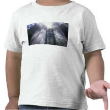 NA, USA, California. Del Norte Coast State 2 Shirt