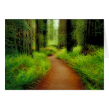 NA, USA, California, Jedediah Smith Redwoods Cards