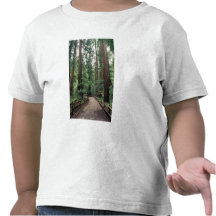 NA, USA, California, Marin County, Muir Woods T-shirt