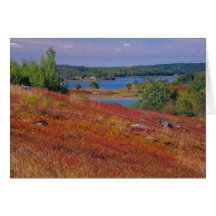 NA, USA, Maine. Blueberry Barrens. Cards