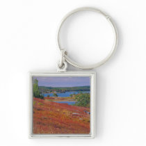NA, USA, Maine. Blueberry Barrens. Keychain