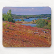 NA, USA, Maine. Blueberry Barrens. Mousepads