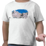 NA, USA, SD, Mount Rushmore. Tee Shirt
