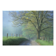 NA, USA, Tennessee, Cades Cove, Great Smoky Photograph