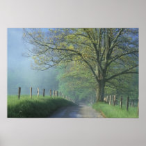NA, USA, Tennessee, Cades Cove, Great Smoky