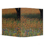 NA, USA, Texas, Hill Country, Paint brush and Binder
