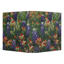 NA, USA, Texas, near Marble Falls, Paint brush 3 Ring Binders