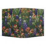 NA, USA, Texas, near Marble Falls, Paint brush 3 Ring Binders
