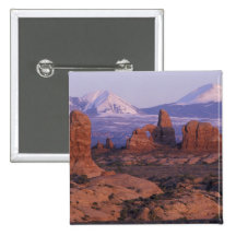 NA, USA, Utah, Arches National Park. Garden of Buttons