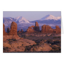 NA, USA, Utah, Arches National Park. Garden of Cards