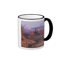NA, USA, Utah, Arches National Park. Garden of Mug